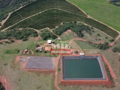 Fazenda/Sítio à venda, 20000m² no , Presidente Olegário