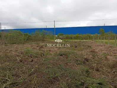 Lote/Terreno à venda, 558m² no Roseira de São Sebastião, São José dos Pinhais