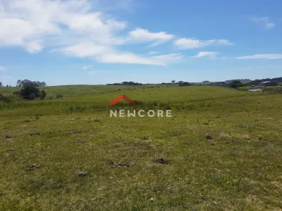 Fazenda/Sítio com 2 Quartos à venda, 3100000m² no Centro, São Francisco de Paula