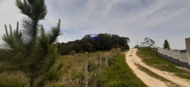 Fazenda/Sítio com 1 Quarto à venda, 5800m² no Lamenha Pequena, Curitiba