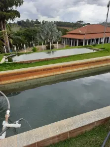 Fazenda/Sítio com 4 Quartos à venda, 310000m² no , Passa Tempo
