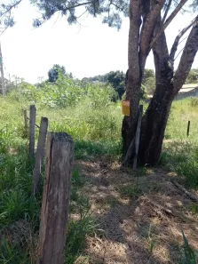 Lote/Terreno à venda, 1000m² no Santa Cecília II, São José dos Campos