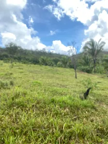 Fazenda/Sítio à venda, 1452000m² no , Niquelândia