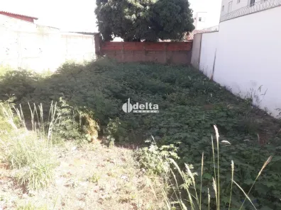Lote/Terreno à venda, 360m² no Segismundo Pereira, Uberlândia