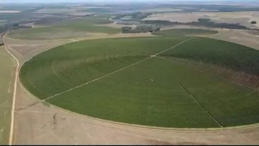 Fazenda/Sítio com 10 Quartos à venda, 10000000m² no Área Rural de Unaí, Unaí