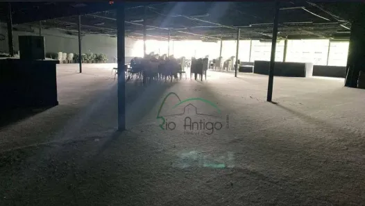 Galpão/Depósito/Armazém para alugar, 1500m² no São Cristóvão, Rio de Janeiro