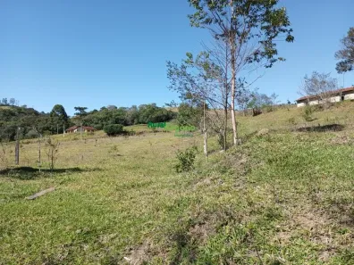 Fazenda/Sítio à venda, 411400m² no Centro, Silveiras