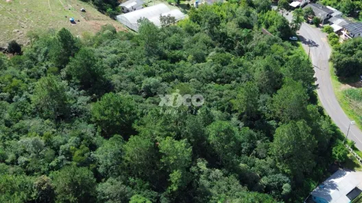 Fazenda/Sítio com 1 Quarto à venda, 5000m² no Centro, Picada Café