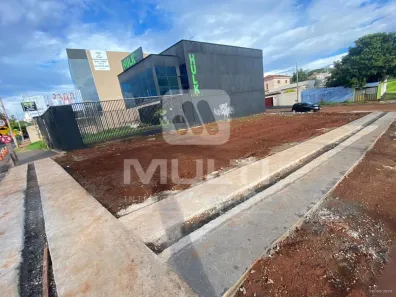 Lote/Terreno com 1 Quarto à venda, 287m² no Tabajaras, Uberlândia