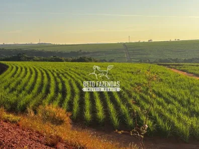 Fazenda/Sítio à venda, 22360000m² no , Prata
