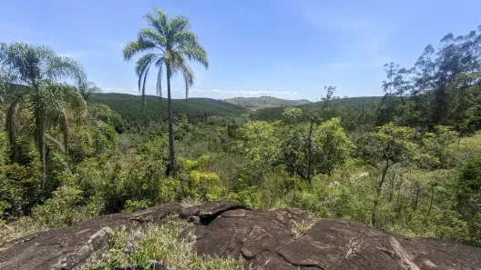 Fazenda/Sítio à venda, 110m² no Serrote, Santa Branca