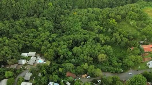 Imóvel Comercial à venda, 12000m² no Moleque, Gramado