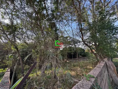 Lote/Terreno à venda, 4580m² no Pinheirinho, Vinhedo