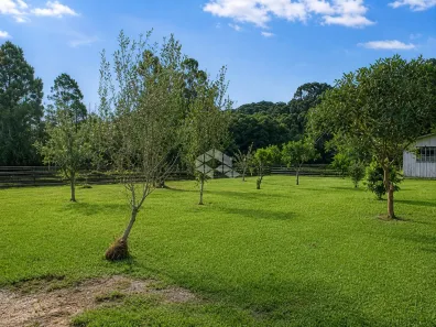 Fazenda/Sítio à venda, 250m² no Ferraria, Campo Largo