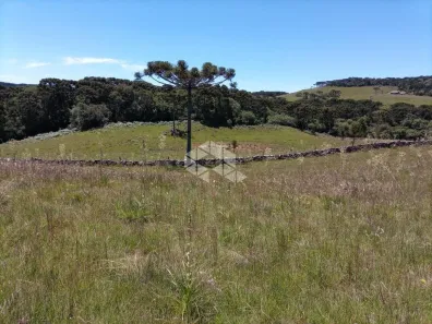 Fazenda/Sítio à venda, 1290720m² no Centro, São Francisco de Paula