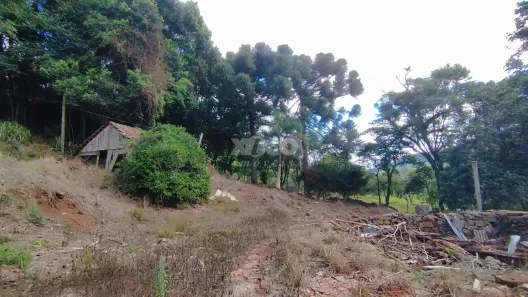Lote/Terreno à venda, 5000m² no Nova Harmonia, Nova Petrópolis