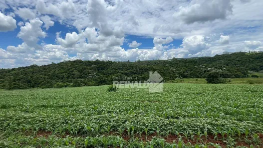 Fazenda/Sítio com 1 Quarto à venda, 249000m² no Loteamento Jardim das Paineiras, Itatiba
