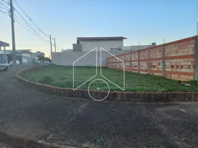 Lote/Terreno para alugar, 270m² no Jardim Florença, Marília