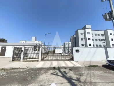 Apartamento com 3 Quartos para alugar, 61m² no Vila Nova, Joinville