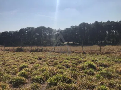 Lote/Terreno à venda, 4323m² no João Aranha, Paulínia