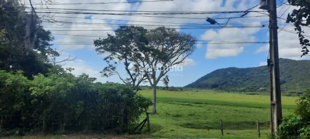 Lote/Terreno com 1 Quarto à venda, 1876m² no Pântano do Sul, Florianópolis