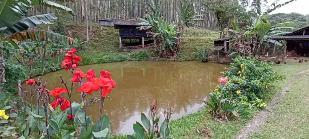 Fazenda/Sítio com 5 Quartos à venda, 400m² no Rio Bonito (Pirabeiraba), Joinville