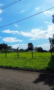 Lote/Terreno à venda, 5000m² no Recanto das Flores, Indaiatuba