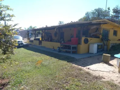 Fazenda/Sítio com 3 Quartos à venda, 4000m² no Amaral, Nova Serrana