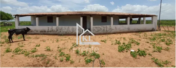 Fazenda/Sítio com 5 Quartos à venda, 590m² no , Afonso Bezerra