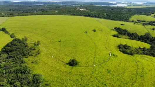 Fazenda/Sítio com 2 Quartos à venda, 799761m² no , Anhembi