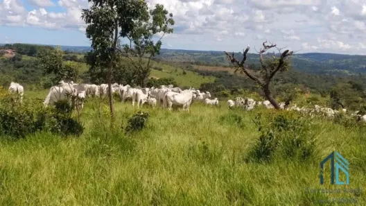 Fazenda/Sítio com 1 Quarto à venda, 3049200m² no Setor Leste Universitário, Goiânia