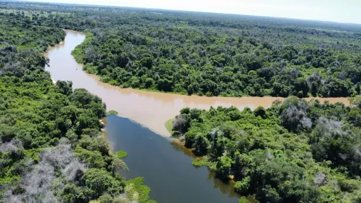 Fazenda/Sítio à venda, 4120000m² no , Miranda