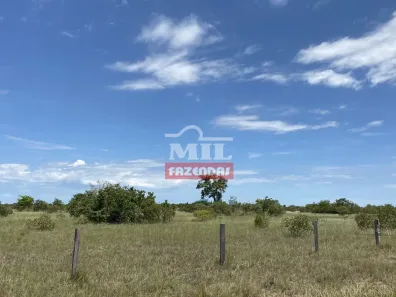 Fazenda/Sítio à venda, 500m² no , Cocalinho