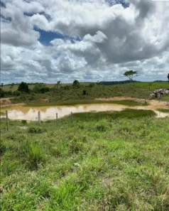 Fazenda/Sítio com 4 Quartos à venda, 3110184m² no Mundo Novo, Mundo Novo