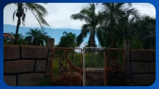 Fazenda/Sítio com 1 Quarto à venda, 10m² no Centro, São José do Rio Preto