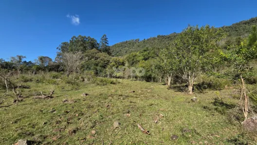 Fazenda/Sítio com 1 Quarto à venda, 46315m² no Vale do Rio Caí, Nova Petrópolis