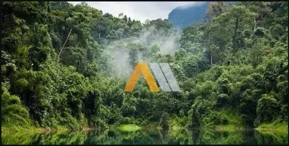 Lote/Terreno à venda, 300000m² no , Jacupiranga