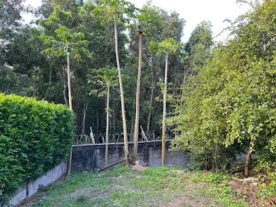 Lote/Terreno à venda, 590m² no Manguinhos, Serra