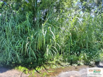 Lote/Terreno à venda, 265m² no Jardim Marcia, Peruíbe