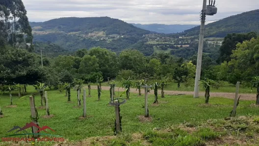 Fazenda/Sítio com 4 Quartos à venda, 200m² no Linha Imperial, Nova Petrópolis
