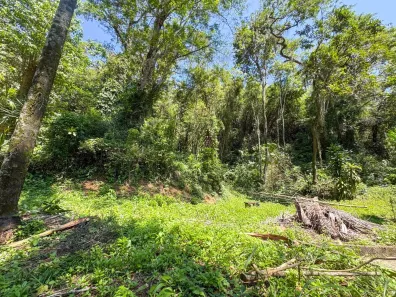 Lote/Terreno à venda, 702m² no Engenho do Mato, Niterói