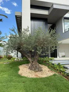 Casa com 4 Quartos à venda, 376m² no Jardins Lisboa, Goiânia