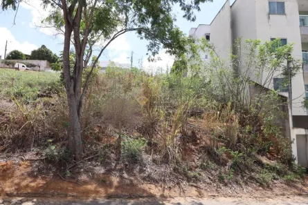 Lote/Terreno à venda, 253m² no Santa Helena, Colatina
