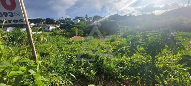 Lote/Terreno à venda, 364m² no Jardim Lumen Christi, Campinas