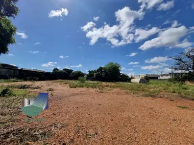 Galpão/Depósito/Armazém para alugar, 2905m² no Vila Elisa, Ribeirão Preto