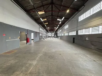 Ponto Comercial para alugar, 1650m² no Vila Bertioga, São Paulo
