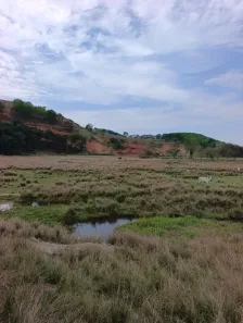 Fazenda/Sítio à venda, 822800m² no Centro, Campos dos Goytacazes