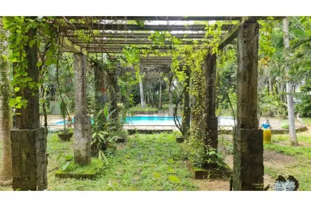 Fazenda/Sítio com 3 Quartos à venda, 500m² no Rubina, Igarassu