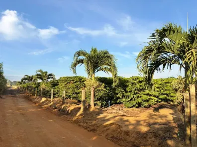 Fazenda/Sítio à venda, 1500m² no Centro, Linhares