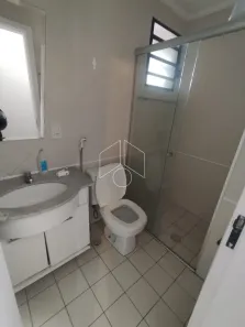 Apartamento com 2 Quartos para alugar, 65m² no Boa Vista, Marília